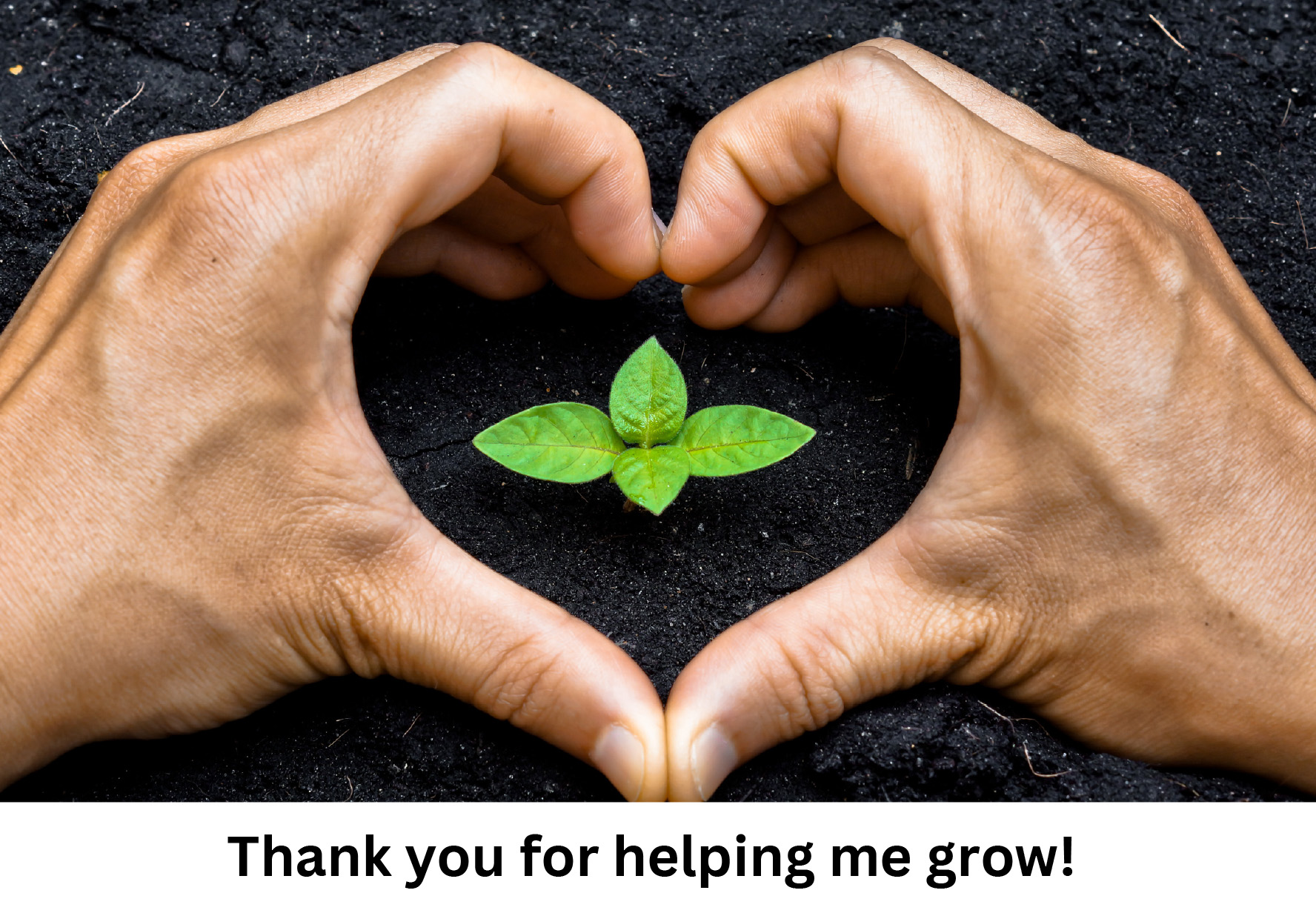Thank you for Helping me Group - hands forming a heart around a plant in soil